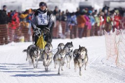 Lenk 2013